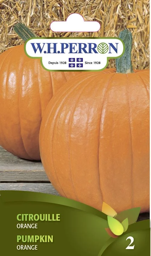 Citrouille 'Orange ' - Semences