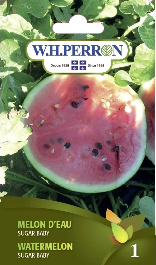 Melon d’Eau 'Sugar Baby' - Semences