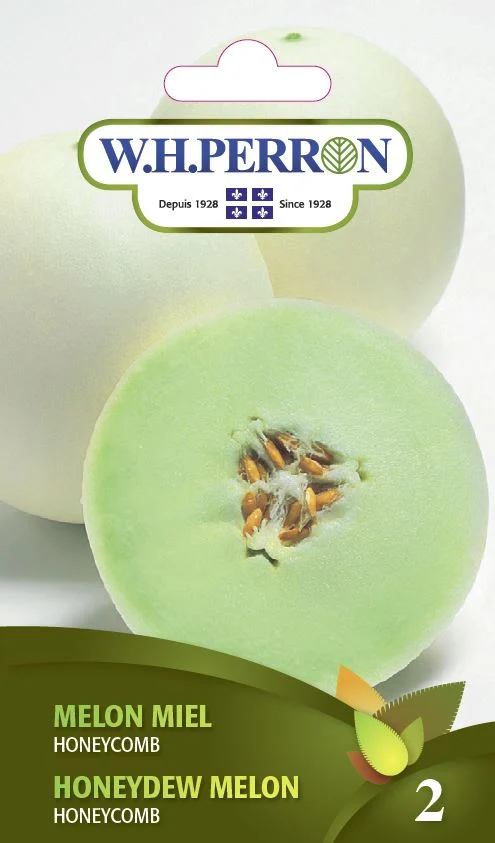 Melon miel 'Honeycomb' - Semences