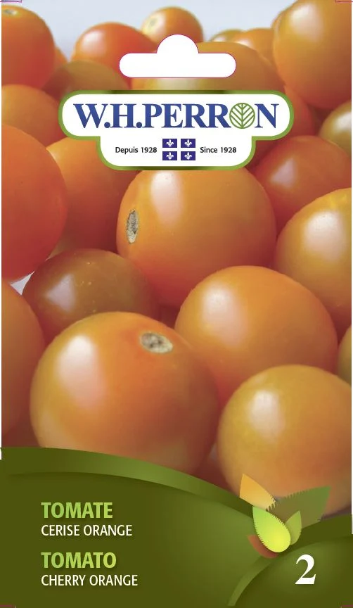 Tomate 'Cerise Orange' - Semences