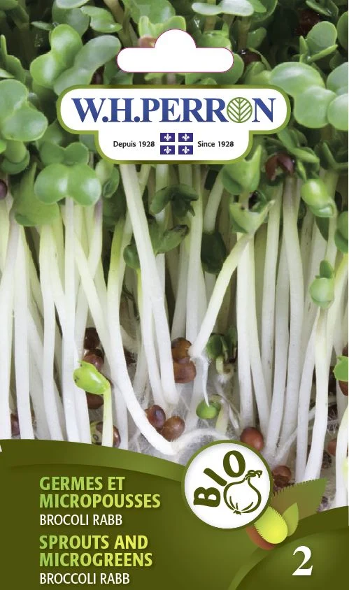 Germes et micropousses 'Brocoli Rabb' - Semences