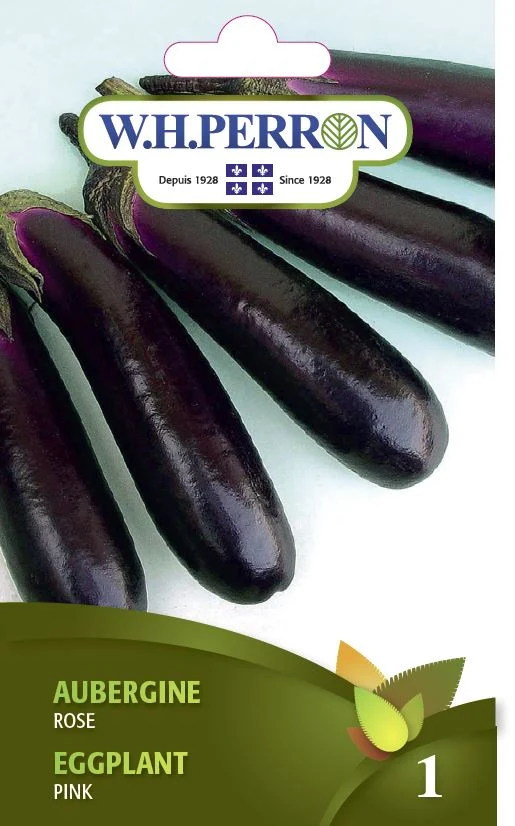 Aubergine 'Charming Rose' - Semences