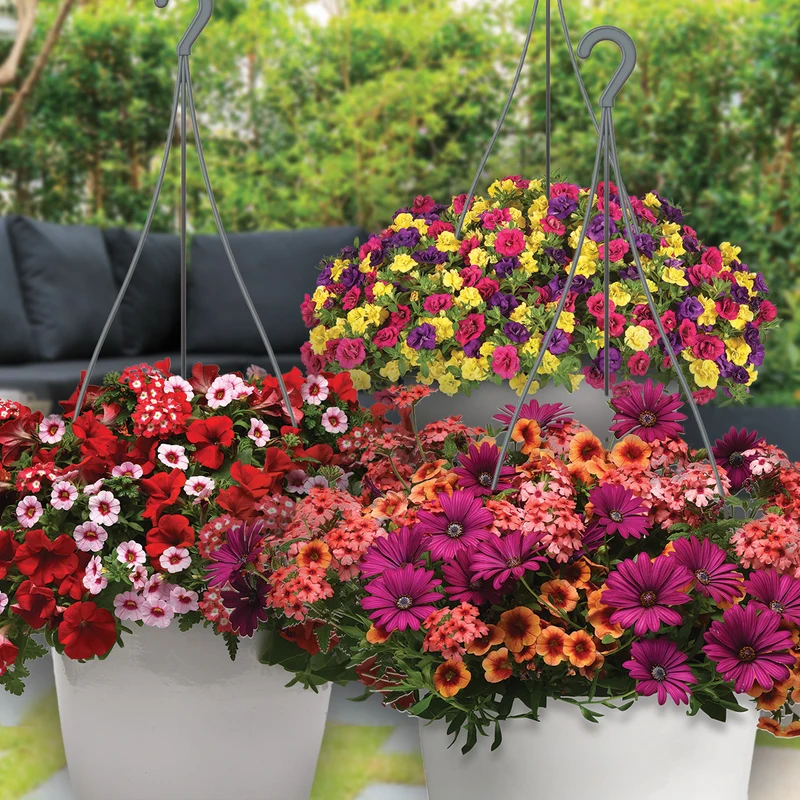 Jardinières de fleurs mixtes – Collections Trixi® et Durabella®