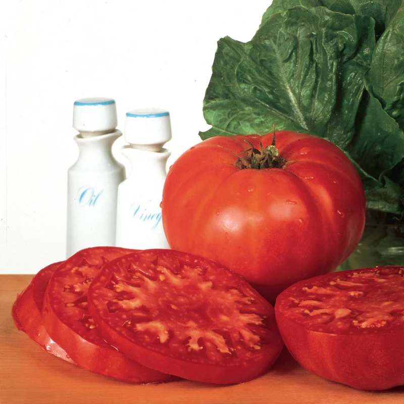 Tomate rouge 'Mémé de Beauce'