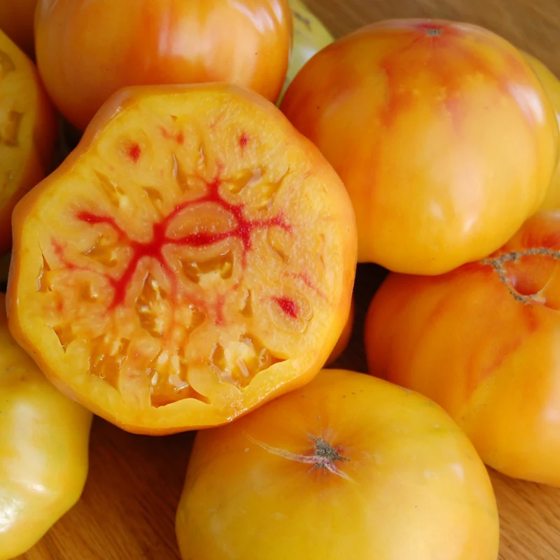 Tomate Ancestrale 'Gold Medal'