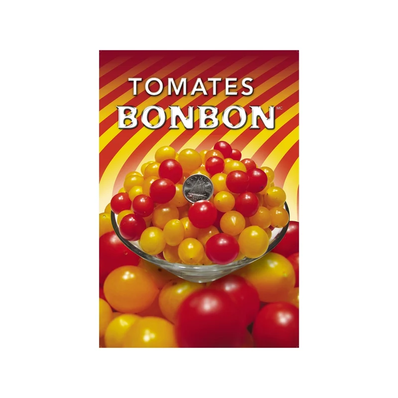 Tomate cerise 'Bonbon' (Rouge et Jaune) - Solanum lycopersicum 'Bonbon'