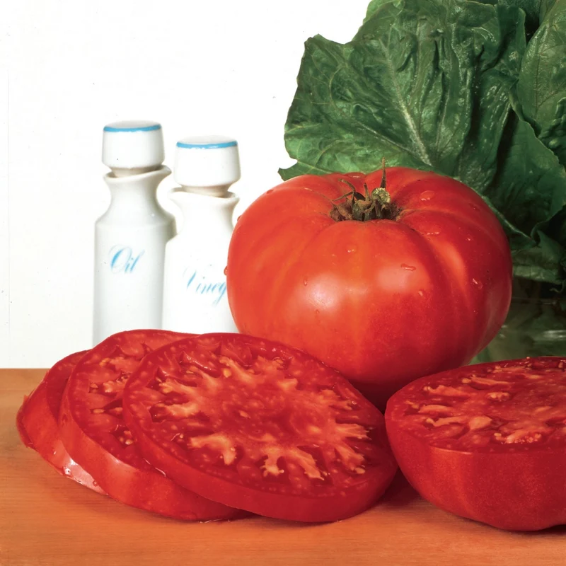 Tomate rouge 'Beefsteak'