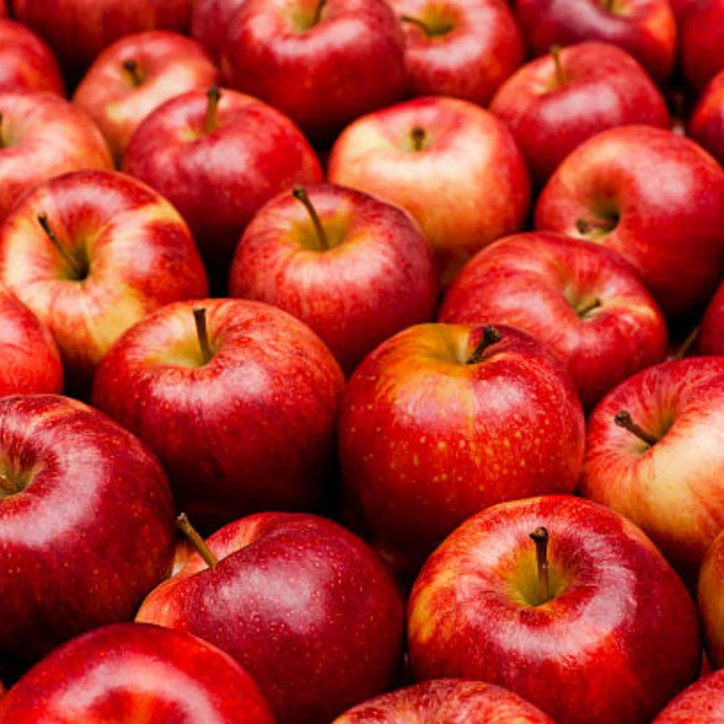 Pommier 'Red Gala'