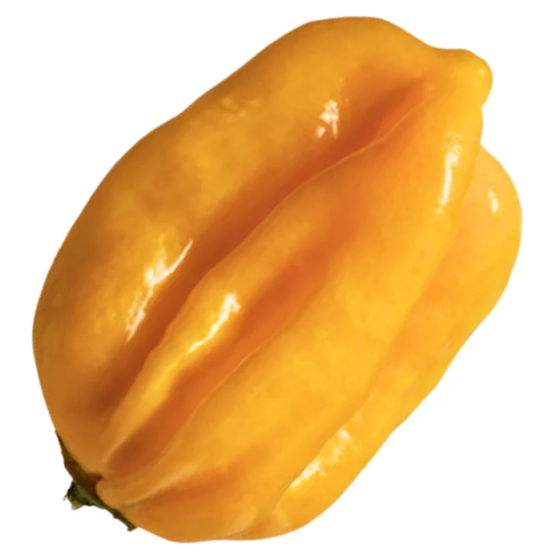 Piment Fort 'Habanero Yellow'