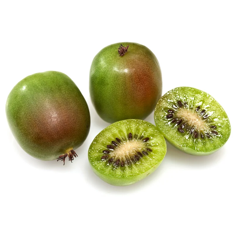 Combo Kiwi arctique 'Meader' & 'Prolific' - Actinidia arguta 'Meader' & 'Prolific'