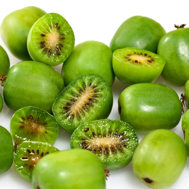 Kiwi arctique 'Issai' - Actinidia arguta 'Issai'