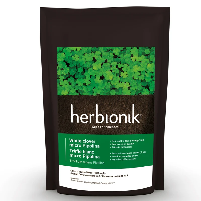 Semence de trèfle blanc Micro pipolina Herbionik