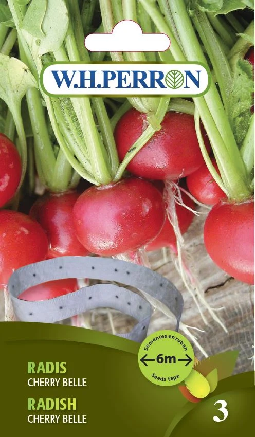 Radis 'Cherry Belle' - Semences