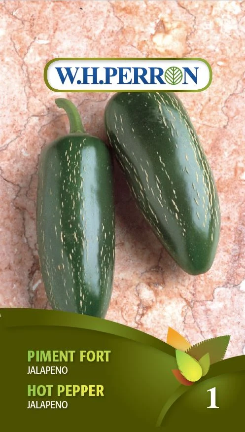 Piment fort 'Jalapeno' - Semences