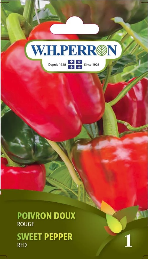 Piment doux 'Rouge' - Semences