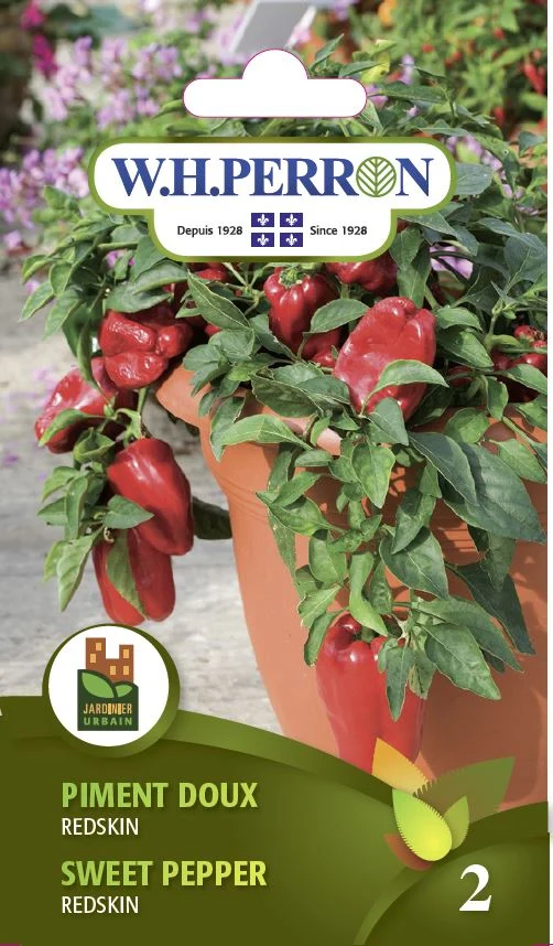 Piment doux 'Redskin' - Semences