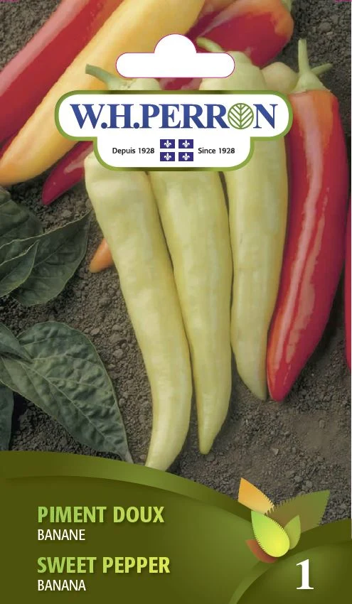 Piment doux 'Banane' - Semences