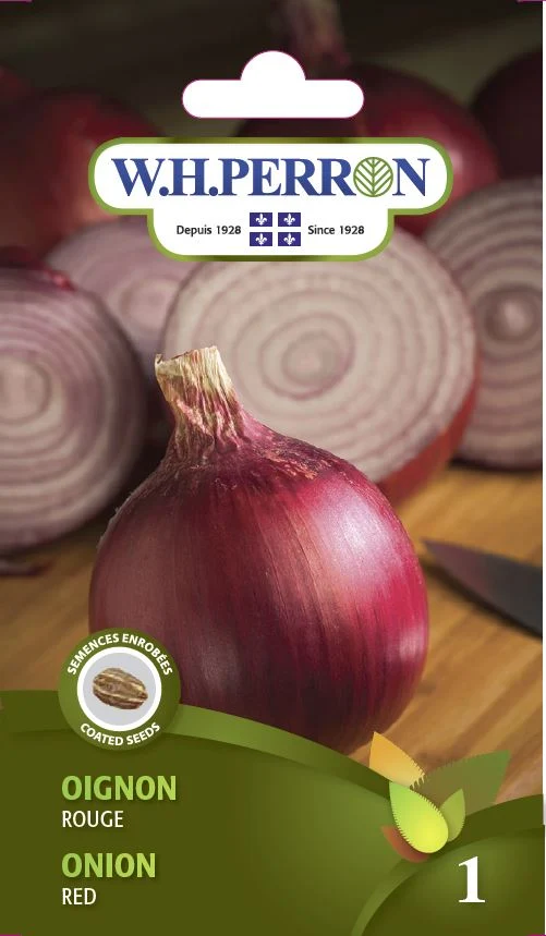 Oignon 'Rouge' - Semences