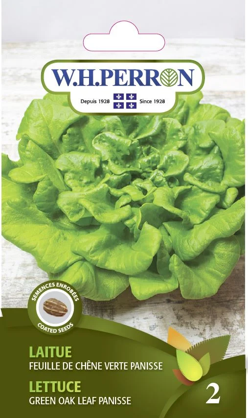 Laitue 'Feuille De Chêne Verte Panisse' - Semences