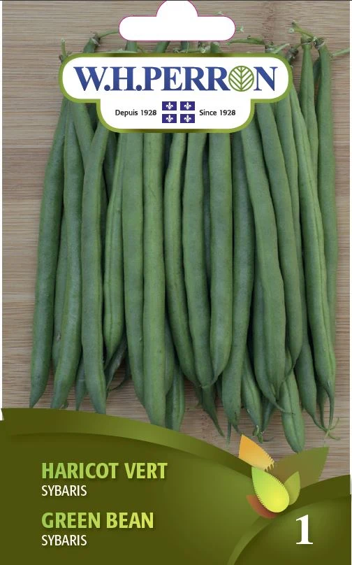 Haricot vert 'Sybaris' - Semences
