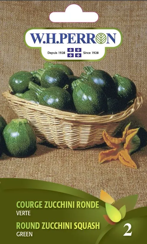 Courge zucchini ronde 'Verte' - Semences