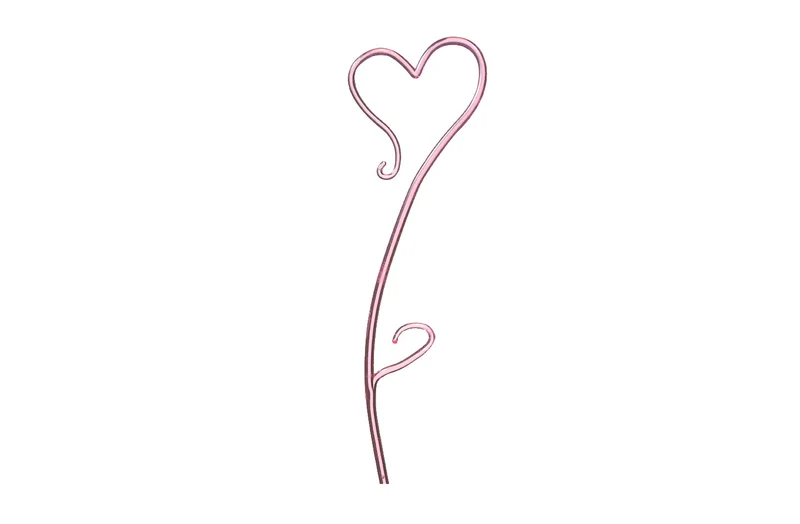 Tuteur pour orchidée en forme de coeur