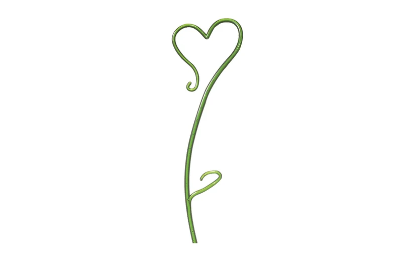 Tuteur pour orchidée en forme de coeur