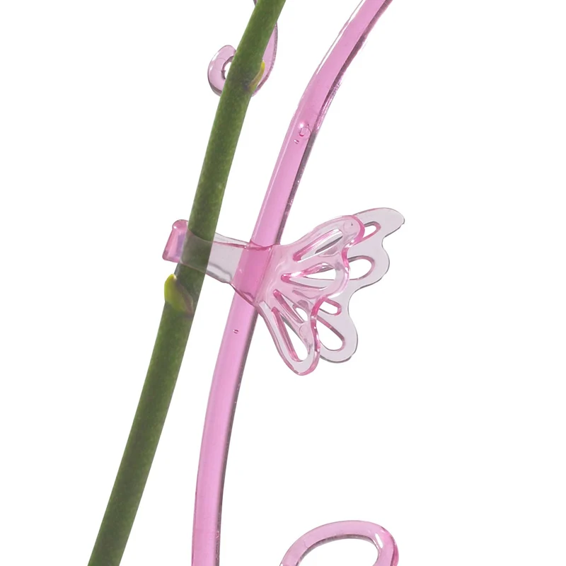 Pinces à plante papillon pour tuteurage des orchidées