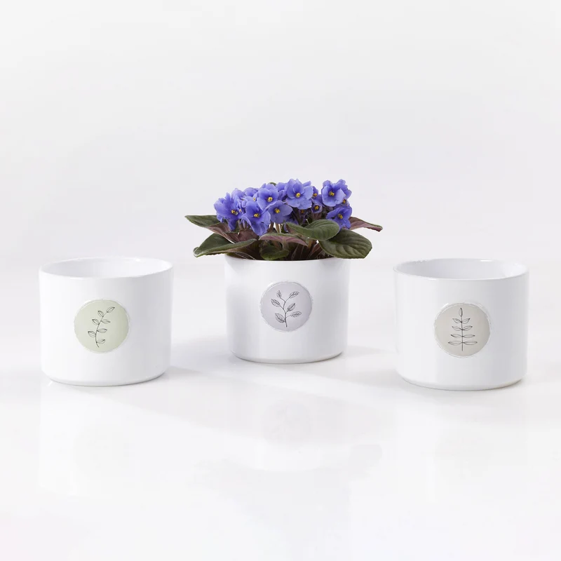 Cache-pot pour plante d'intérieur - Collection Botanic Friends