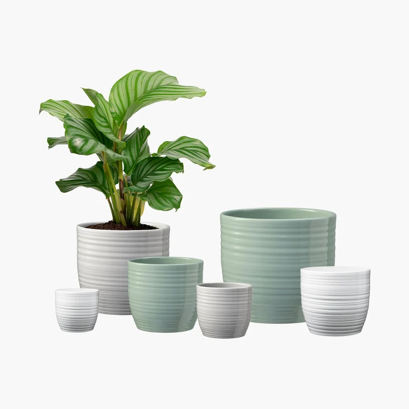 Cache-pot pour plante d'intérieur - Collection Bergamo Pure