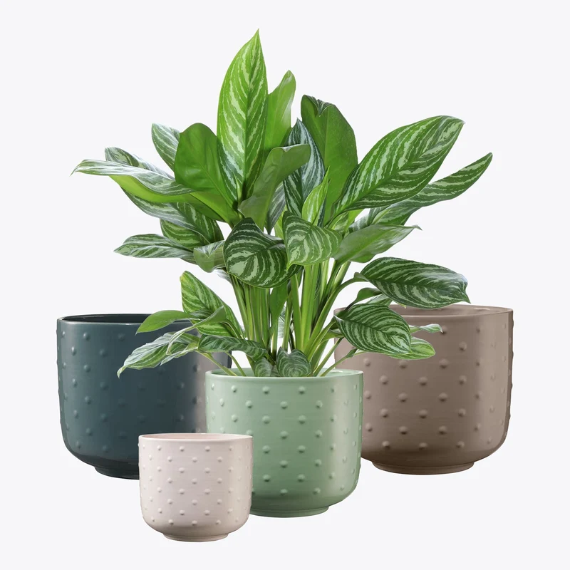 Cache-pot pour plante d'intérieur - Collection Baku Pearl
