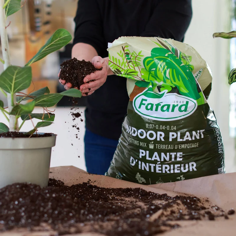 Terreau d'empotage pour plantes d'intérieur et tropicales
