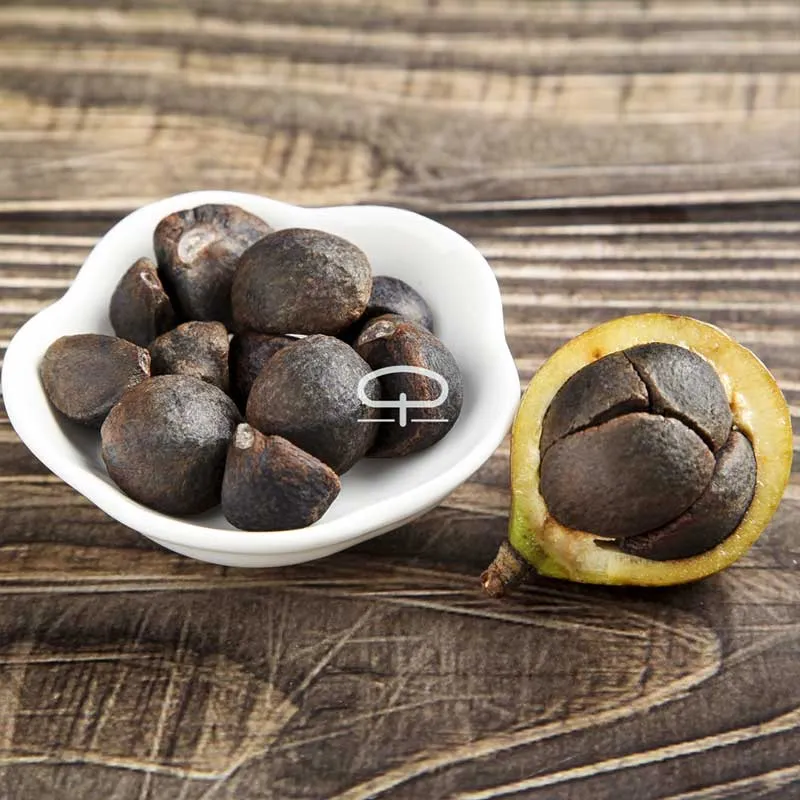 Thee plant zaden - Camellia Sinensis