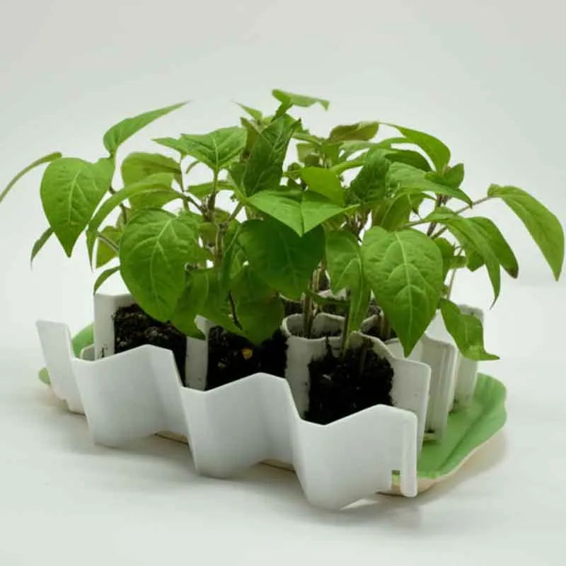 Germie L Kweekkit – Zaai 13 Planten zonder Gedoe
