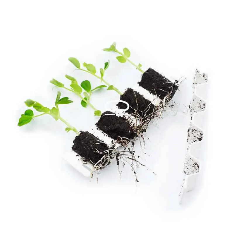 Germie M Kweekkit – Zaai 25 Planten zonder Gedoe