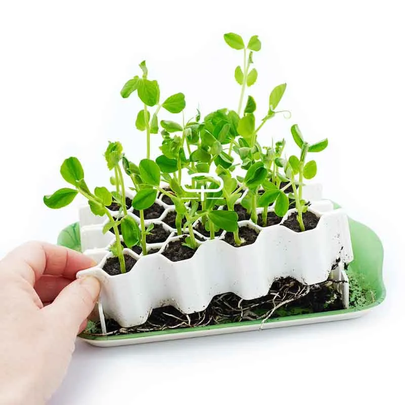 Germie M Kweekkit – Zaai 25 Planten zonder Gedoe