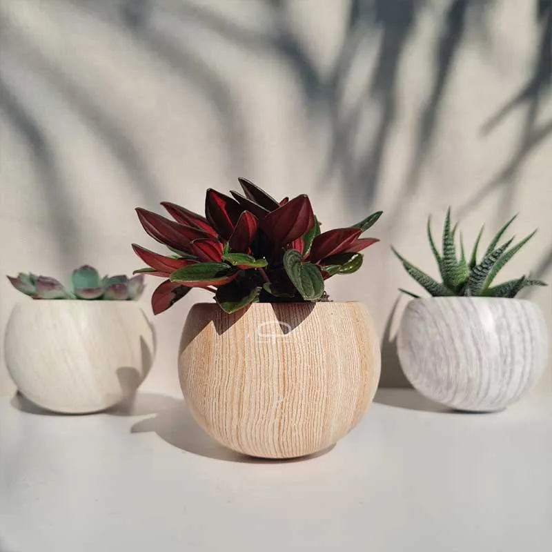 Succulent plantje in Magneet potje woodlook