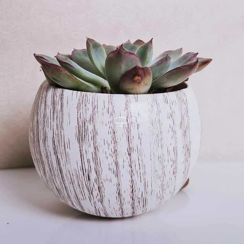 Succulent plantje in Magneet potje woodlook