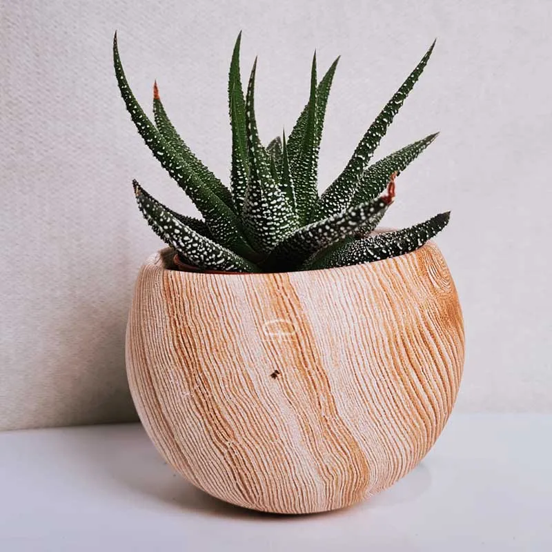 Succulent plantje in Magneet potje woodlook