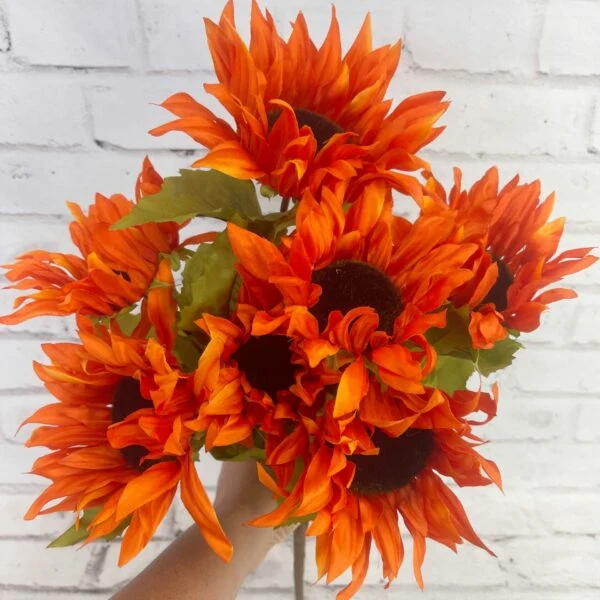 Deep Orange Sunflower Seeds – Bold, Fiery Blooms for Gardens & Pollinators