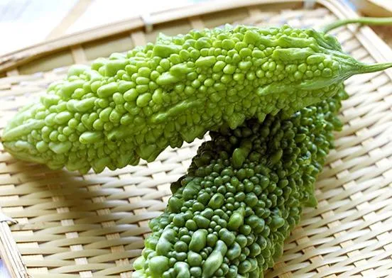 Japanese Bitter Gourd Seeds – Heirloom, High Yield, Bitter Melon for Home Gardening