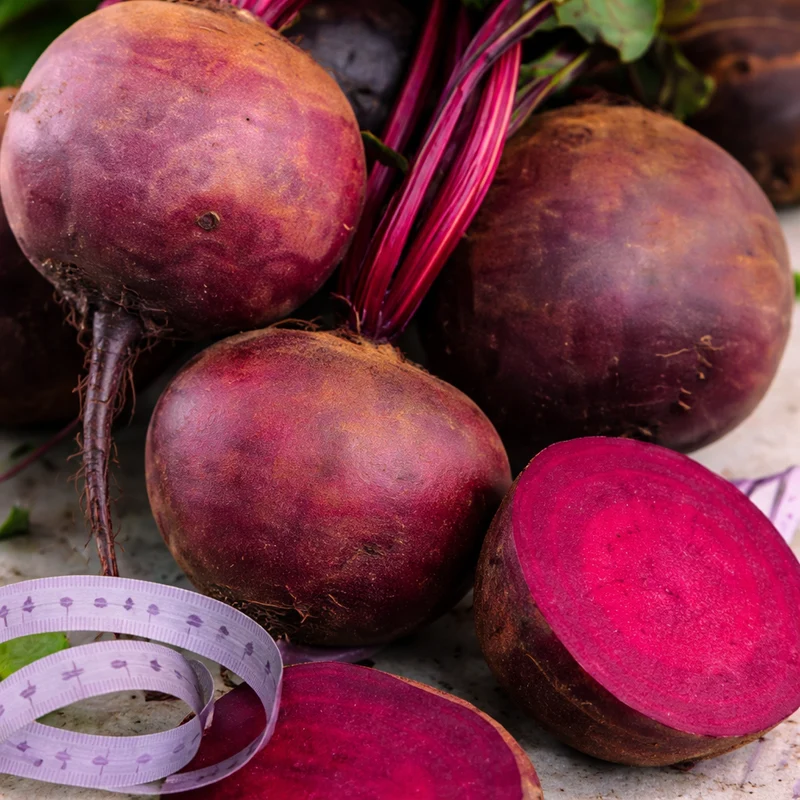 Betterave ‘Boltardy’ sur ruban ( Beta vulgaris )