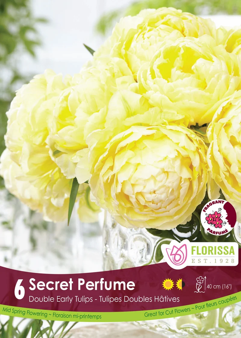 Tulipe Secret Perfume ( Tulipa )