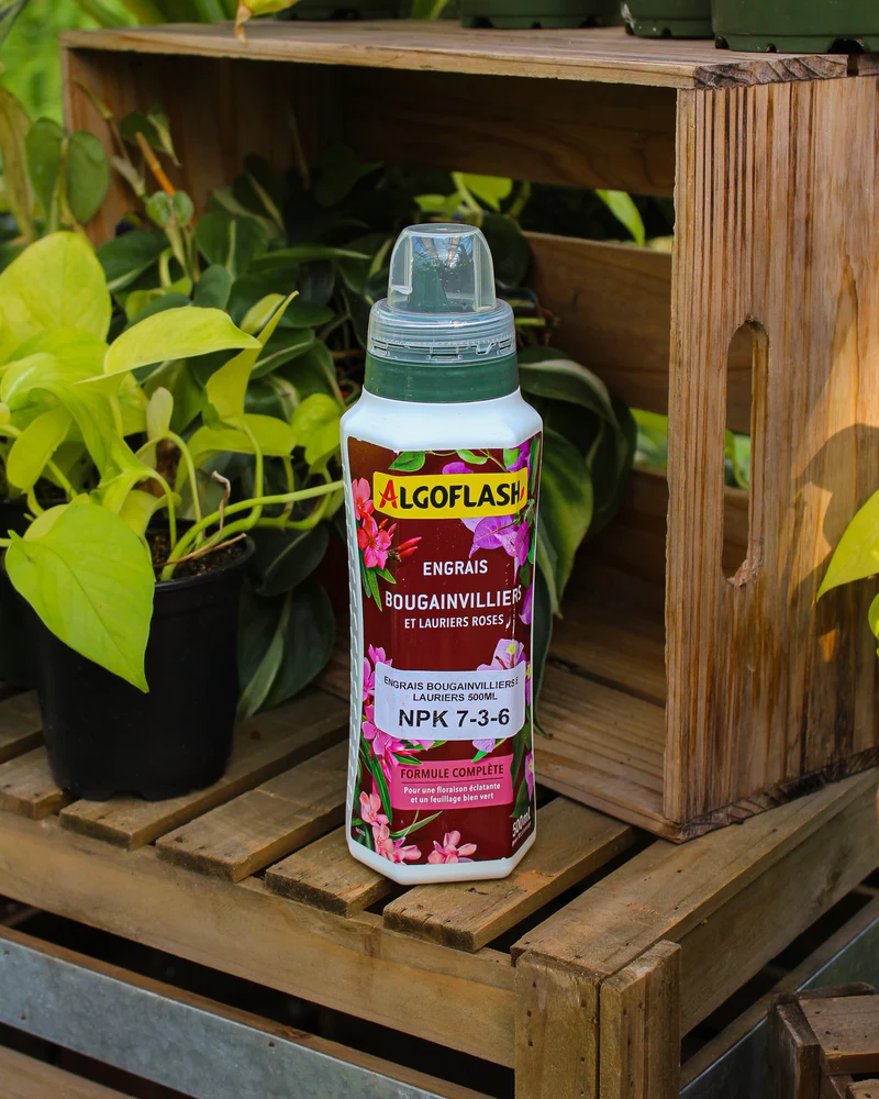 Engrais Bougainvillea et Laurier Algoflash 7-3-6