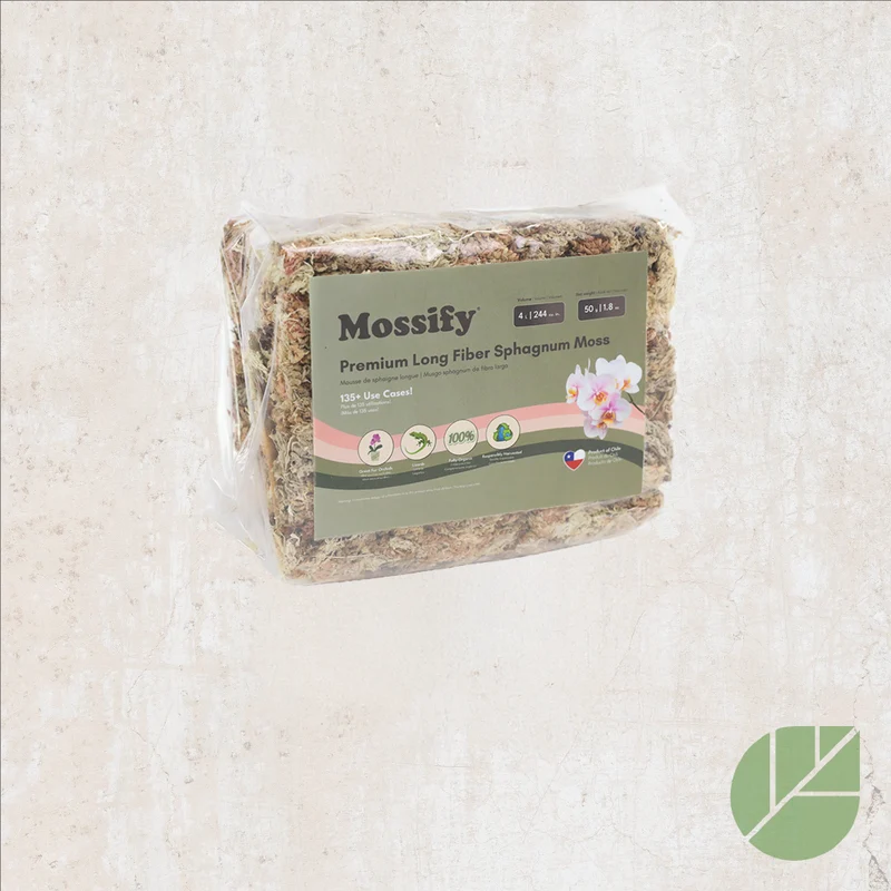 Mousse de sphaigne Mossify