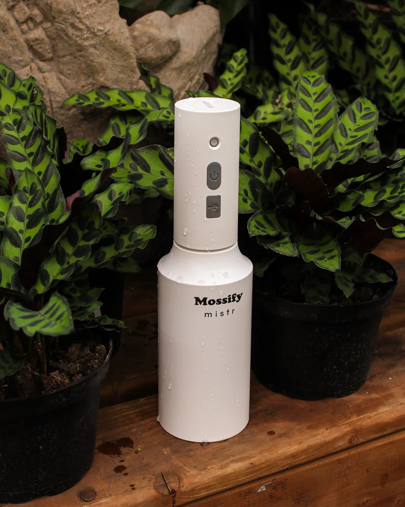 Brumisateur automatique rechargeable Mossify mistr™