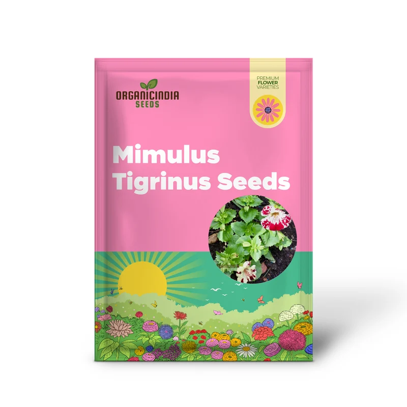 Mimulus Tigrinus Seeds for Vibrant Gardening Enthusiasts | Rare Plant Variety for Your Blossoming Garden