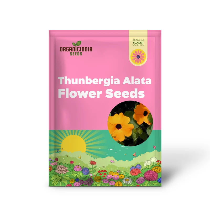 Thunbergia Seeds (Thunbergia Alata Flower Seeds) - Vibrant Climbing Blooms for Gardens