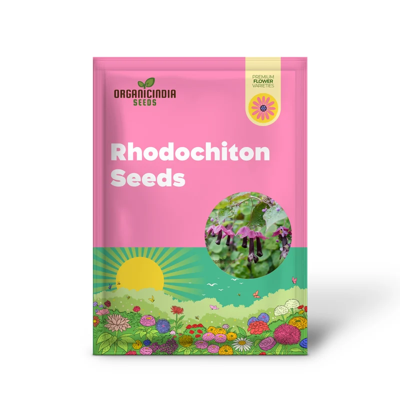 Purple Bells Seeds (Rhodochiton Atrosanguineus Seeds) - Exotic Purple Blooms for Unique Garden Beauty