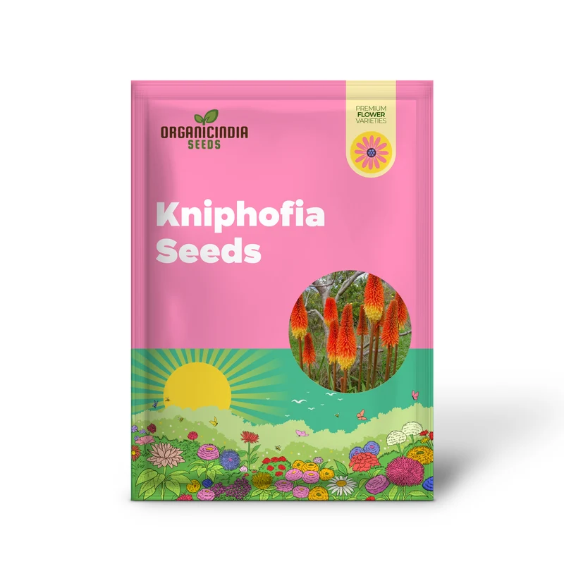 Red Hot Poker Kniphofia Seeds – Torch Lily